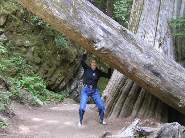 L holding up tree