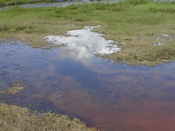 Reflection Lakes3